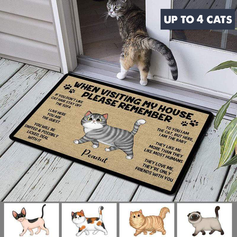 Please Remember When Visiting Cartoon Walking Cat House Personalized Doormat